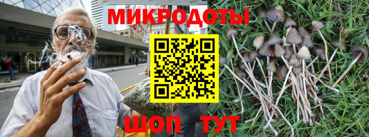 Псилоцибиновые грибы Cubensis Гурьевск