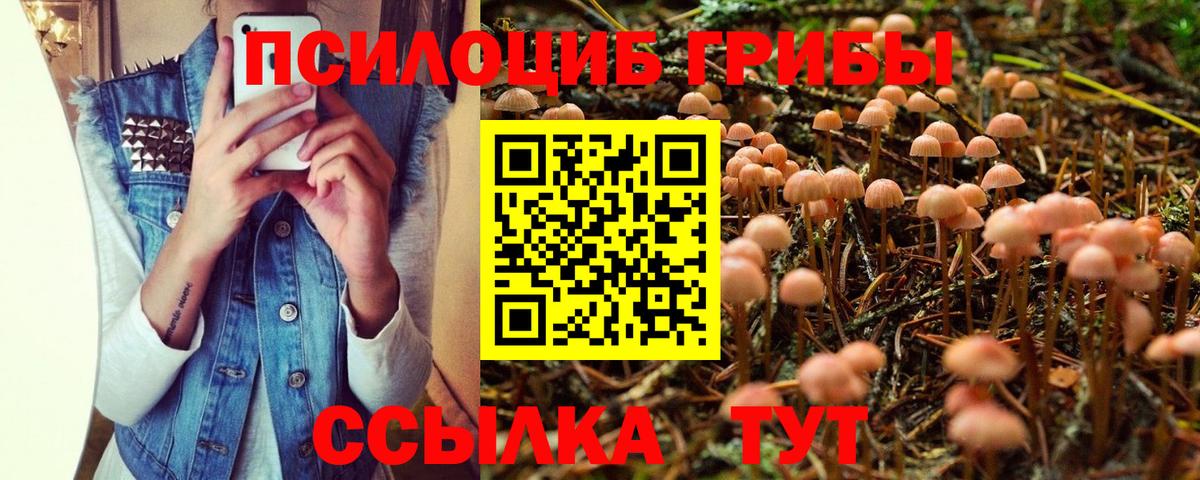 Гурьевск  Псилоцибиновые грибы Magic Shrooms  Вход с VPN 